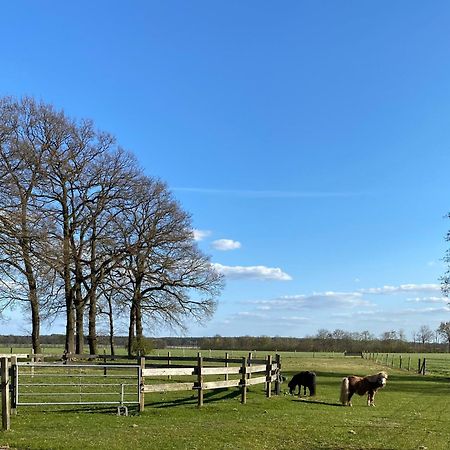 Ferienhof Westermann Waldblick Lahden Bagian luar foto