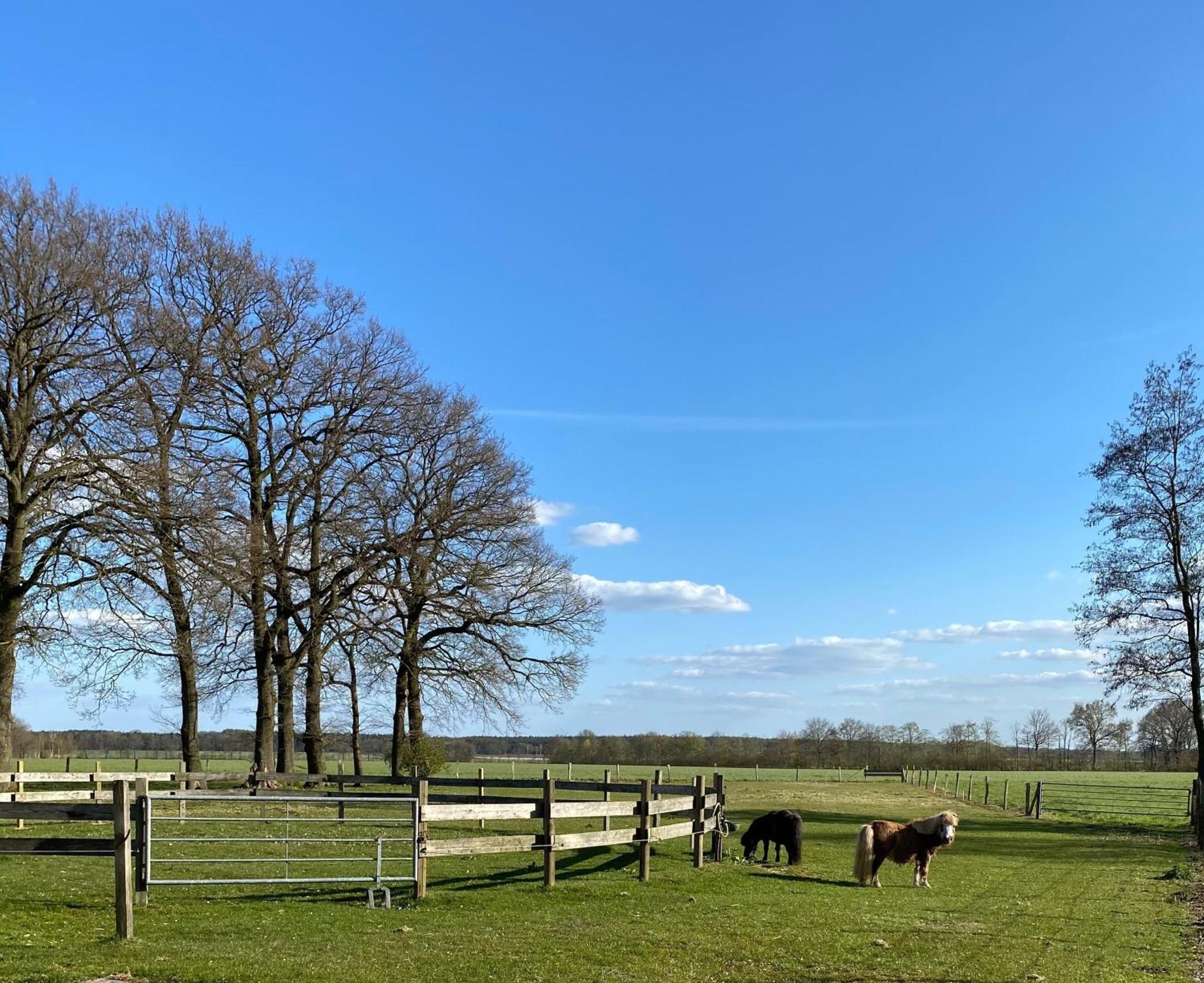 Ferienhof Westermann Waldblick Lahden Bagian luar foto